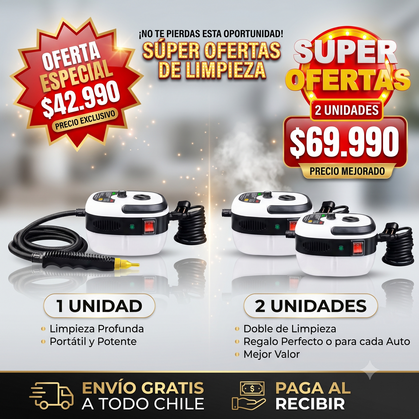 Limpiador a Vapor Profesional-Antivacterias